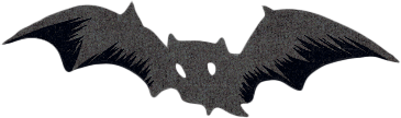 Bats Right